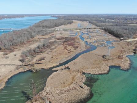 The photo shows the extensive wetland at Buckhorn Island State Park. Burnt Ship creek is the access into that wetland from the Niagara River. Image courtesy of NYSPRHP