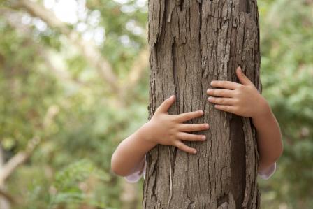 Image of a child hugging a tree