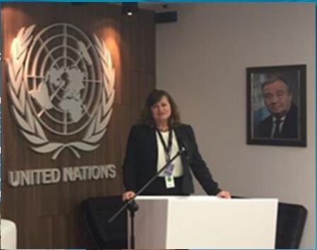 researcher Beth Hassett-Sipple spoke at the UN Clean Air for All Conference during an Embassy Science Fellowship.