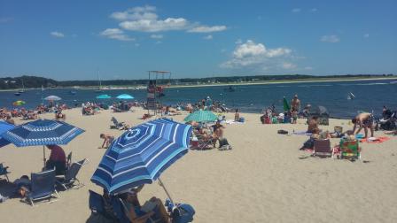 People recreating on a beach