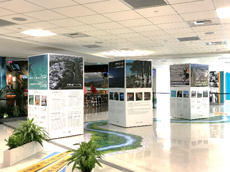 San Juan Bay Estuary Exhibition at the San Juan International Airport