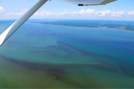 Chesapeake Bay-Aerial view-nutrients