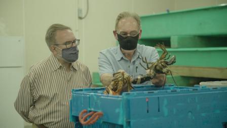 EPA Administrator Wheeler tours the Cape Porpoise Lobster & Bait Company