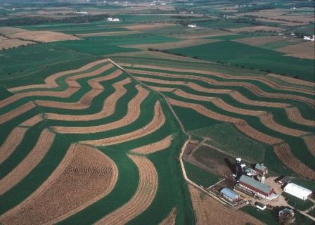 Contour strip farming