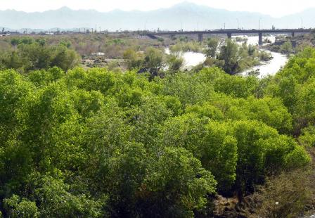 The Rio Salado (Salt River) after 2010 winter rains; portion passing below the Central Avenue bridge in Phoenix, AZ.