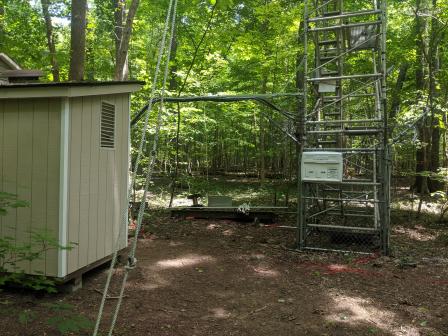 EPA field site in Duke Forest for VOC measurement research