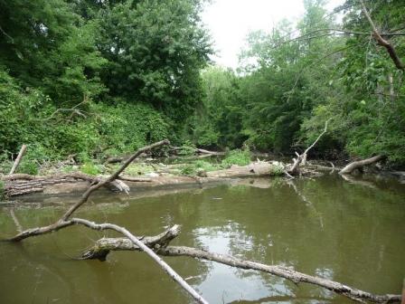 photo of Log jams are an ongoing challenge in the lower reaches of Swan Creek. Photo credit: Ohio EPA