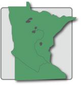 Minnesota State