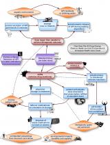 Flow chart showing the steps from over prescribing pharmaceuticals to adverse effects in the environment