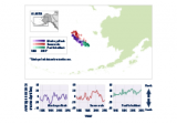 Map and line graphs showing the average location of three fish and shellfish species in the eastern Bering Sea from 1982 to 2015.