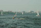 Windsurfer and Sailboats along the Charles River