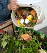 Collecting food waste