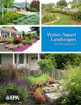 Water smart landscaping tips