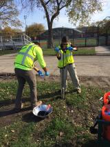 Heart of Chicago Soil Sampling picture from 2016