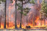 Stock photo of a wildfire - modeling emissions from wildland fires is an area of ongoing research in CMAQ