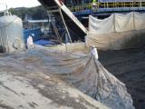 Covering of Processed Dredge Sediment Pile at Completion of Work Day – July 2017