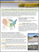 Click to view and download the NWCA 2011 Factsheet