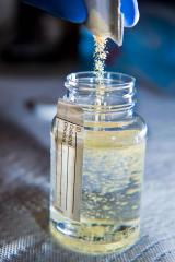water testing sample jar