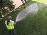 Watering the sod in Heart of Chicago