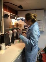A scientist onboard the R/V Lake Guardian filtering raw water samples in the wet laboratory.
