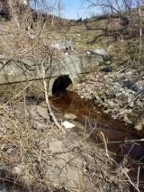 Storm Drain (Photo credit: Todd Borci)