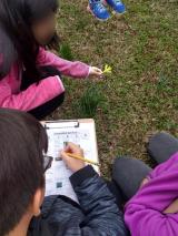 Ecosystem Services kids outdoor activity