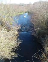 Figure 1. Rocky Run, 04-24-18 (Palmer River Watershed)