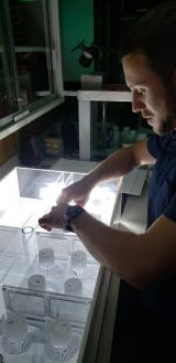 Photo of Research technician prepares an experiment to measure photosynthesis in Lake Erie 