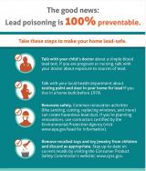 lead poisoning is 100% preventable