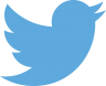 Twitter bird icon